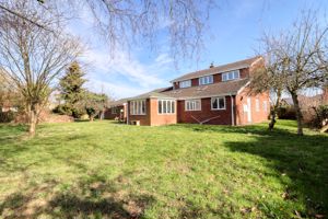 Garden- click for photo gallery